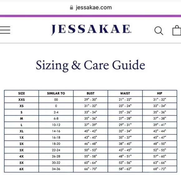 JESSAKAE Blue Gingham Plaid Dress Collar Puff Sleeve Textureed Cottage Country L - Picture 3 of 6